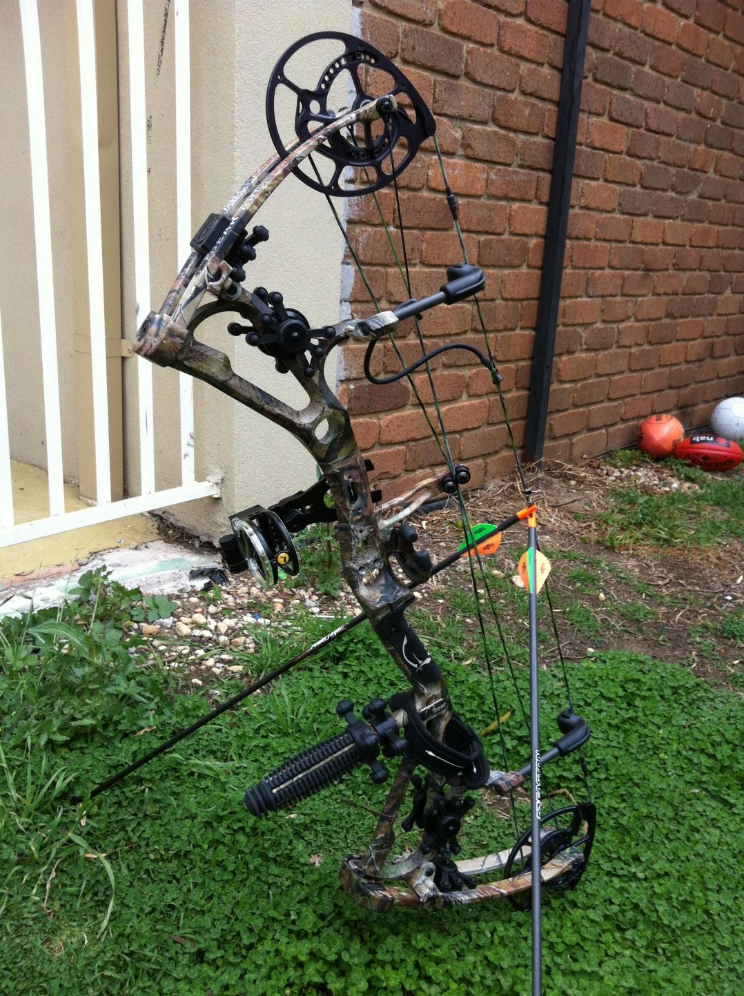 Dating Bear Compound Bows